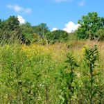 Gaymark Preserve