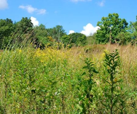 Gaymark Preserve