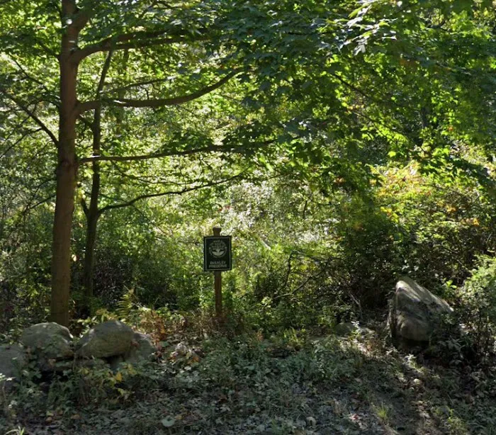 Bulkley South Preserve Picture 1