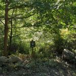 Bulkley South Preserve
