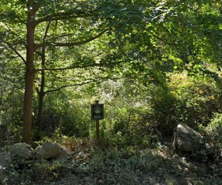 Bulkley South Preserve