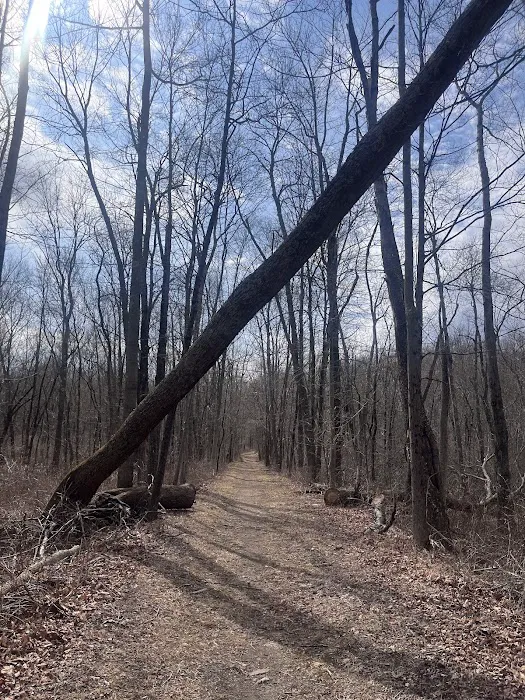 Sarah Bishop Park Picture 3
