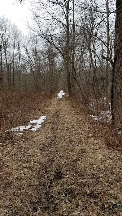 Sarah Bishop Park Picture 1