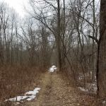 Sarah Bishop Park
