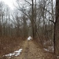 Sarah Bishop Park ico