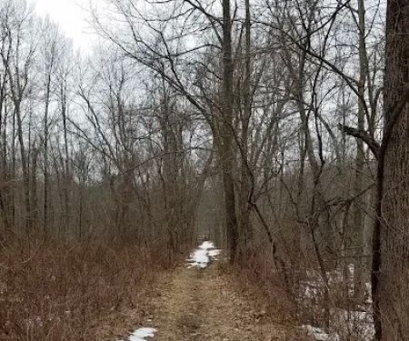 Sarah Bishop Park