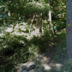 Bulkley North Preserve