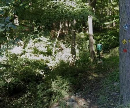 Bulkley North Preserve