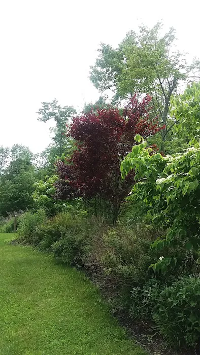 Camarda Park Picture 1