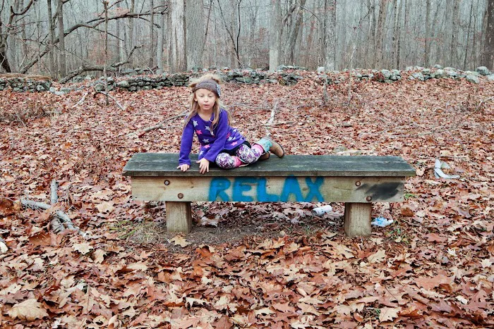 Fred Dill Wildlife Sanctuary Picture 10