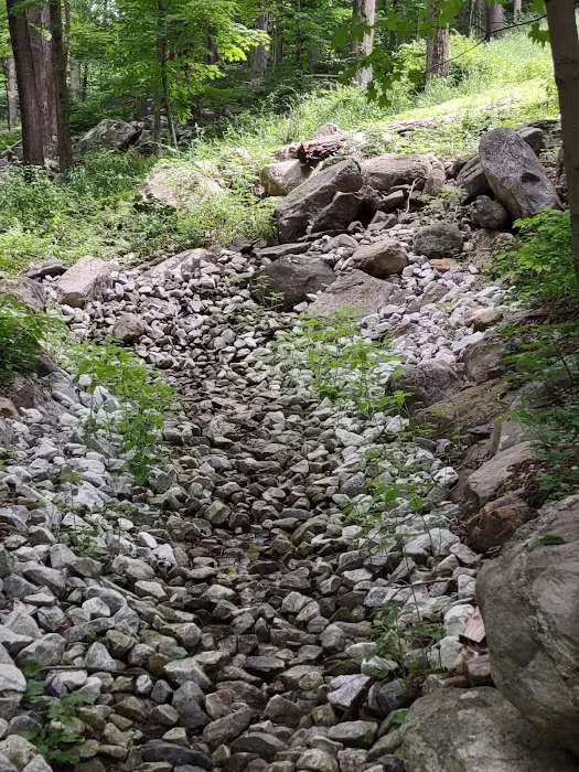 Fred Dill Wildlife Sanctuary Picture 5