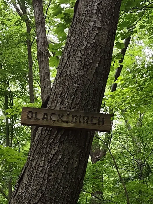 Fred Dill Wildlife Sanctuary Picture 1