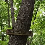 Fred Dill Wildlife Sanctuary