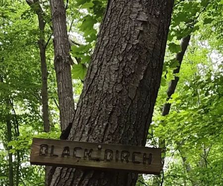 Fred Dill Wildlife Sanctuary