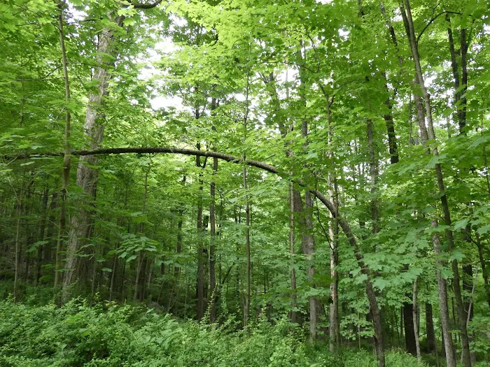 Fred Dill Wildlife Sanctuary Picture 4