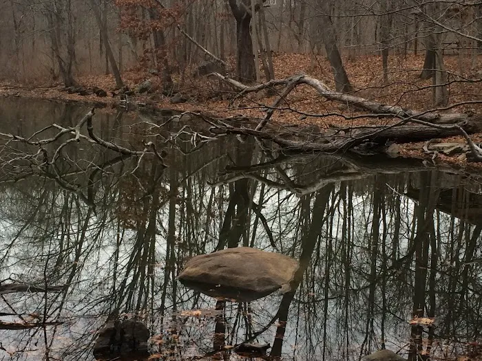 Fred Dill Wildlife Sanctuary Picture 6