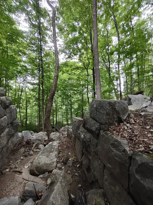 Fred Dill Wildlife Sanctuary Picture 2