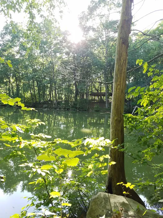 Fred Dill Wildlife Sanctuary Picture 9