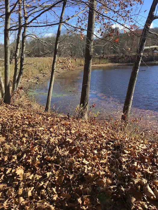 Southeast Veterans Park Picture 3