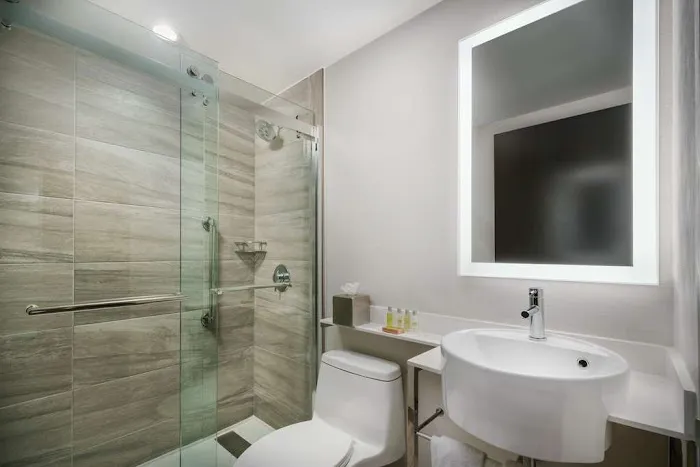 DoubleTree by Hilton New York Times Square South Picture 5