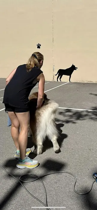 Chelsea Park Dog Run Picture 2