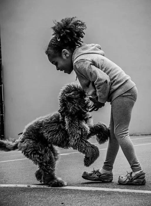 Chelsea Park Dog Run Picture 6