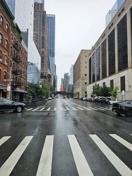 Chelsea Park Picture 6