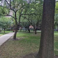 Recreation Area at Penn South Co-op ico