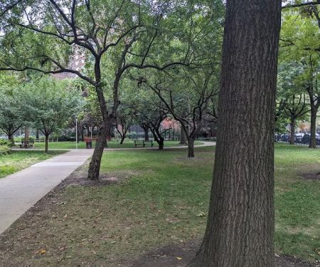Recreation Area at Penn South Co-op