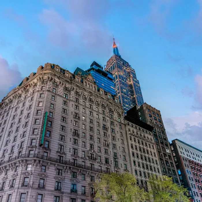 Martinique New York on Broadway, Curio Collection by Hilton Picture 5