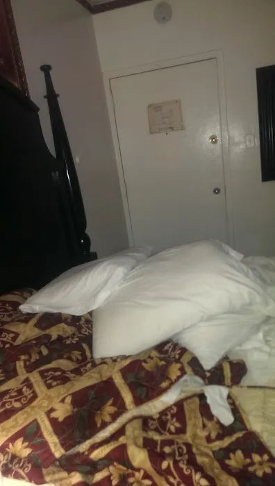 Senton Hotel Picture 6