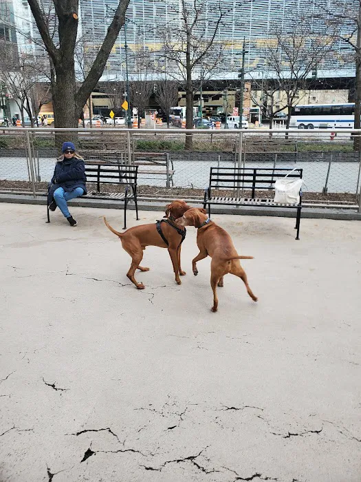 West Thames Dog Run Picture 7