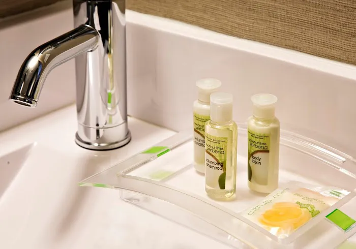 Holiday Inn Manhattan - Financial District, an IHG Hotel Picture 8
