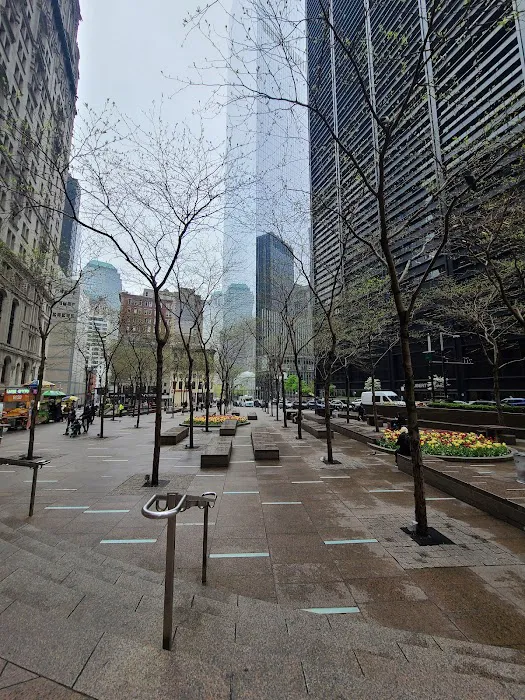 Zuccotti Park Picture 6