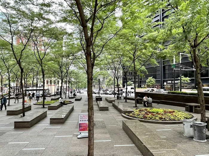 Zuccotti Park Picture 7