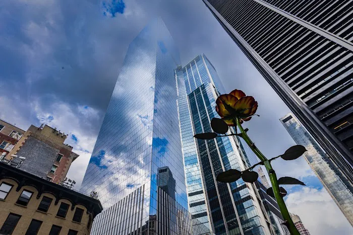 Zuccotti Park Picture 10