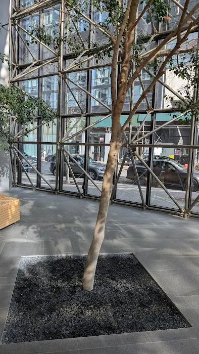 Maiden Lane Public Atrium Picture 10