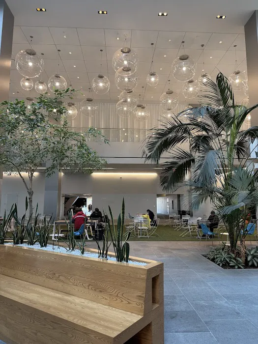 Maiden Lane Public Atrium Picture 9