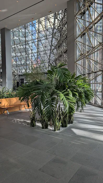 Maiden Lane Public Atrium Picture 8