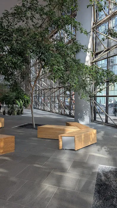 Maiden Lane Public Atrium Picture 5
