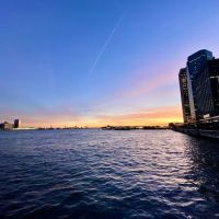 Dog Park East River Esplanade South ico