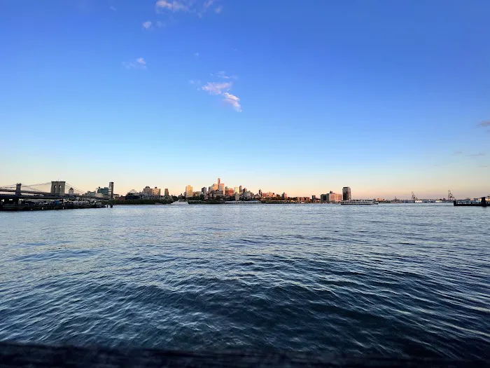 Dog Park East River Esplanade South Picture 2