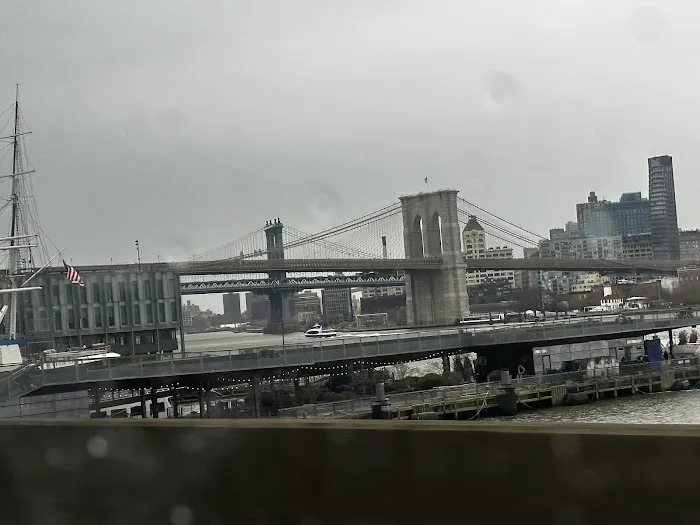 Dog Park East River Esplanade South Picture 7