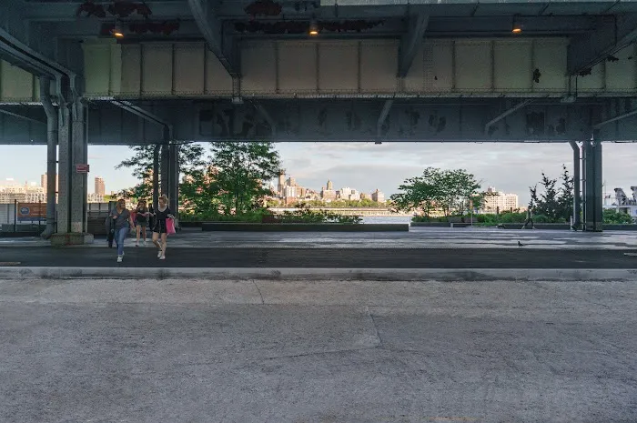 Dog Park East River Esplanade South Picture 4
