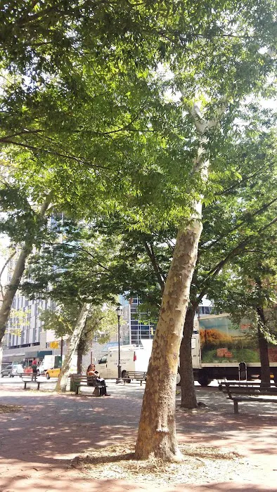 6th Avenue Picture 5