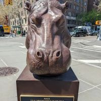 Ruth E. Wittenberg Triangle ico