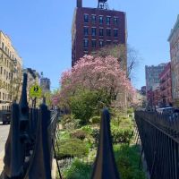 Sheridan Square Viewing Garden ico