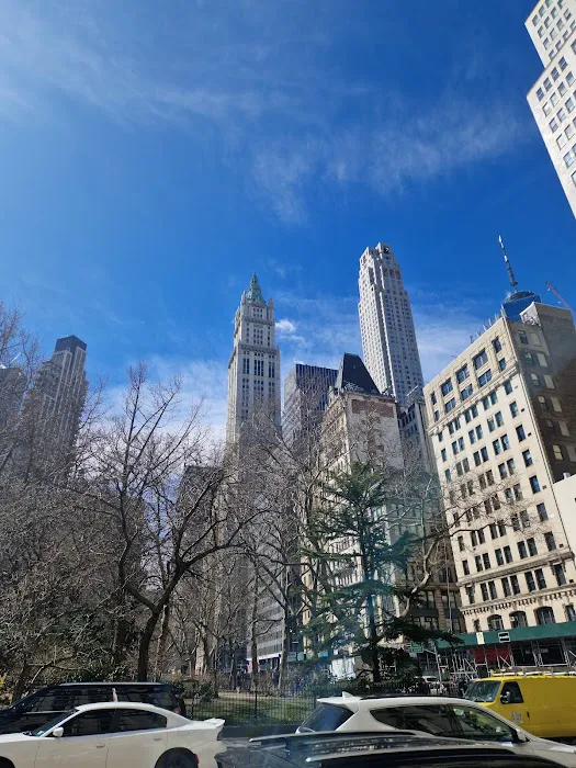 City Hall Park Picture 9