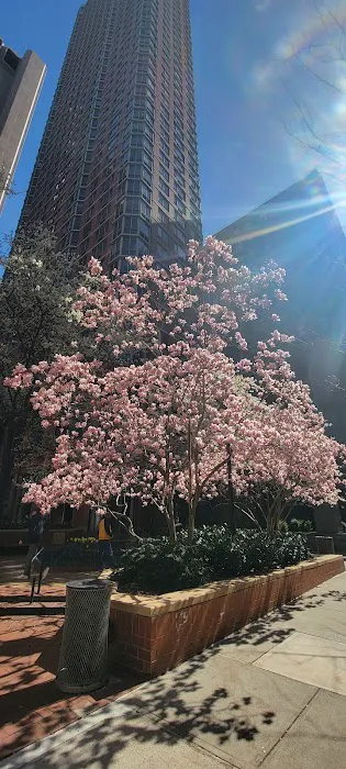 Tribeca Tower Courtyard Picture 3