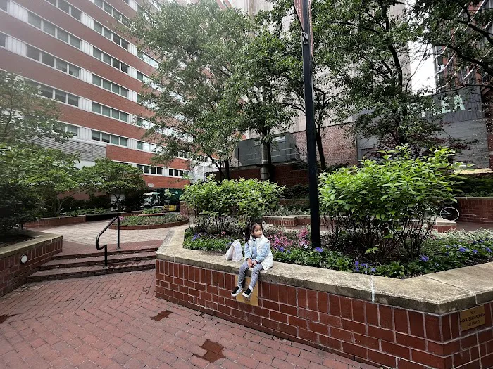Tribeca Tower Courtyard Picture 10